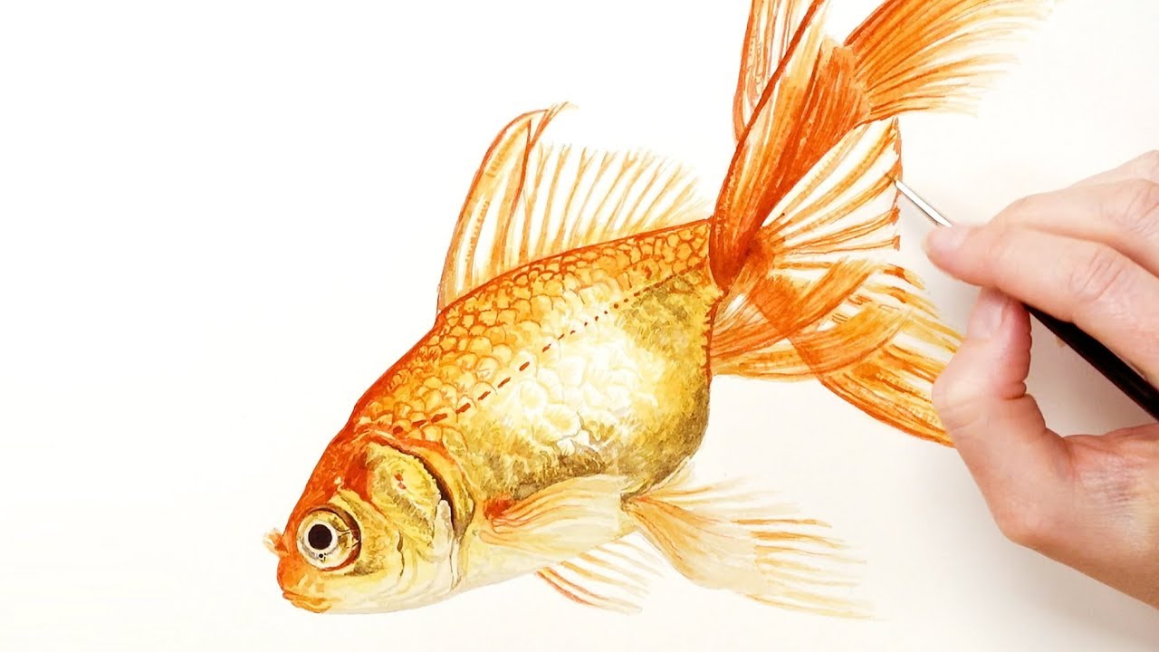 Рыба Золотая образ