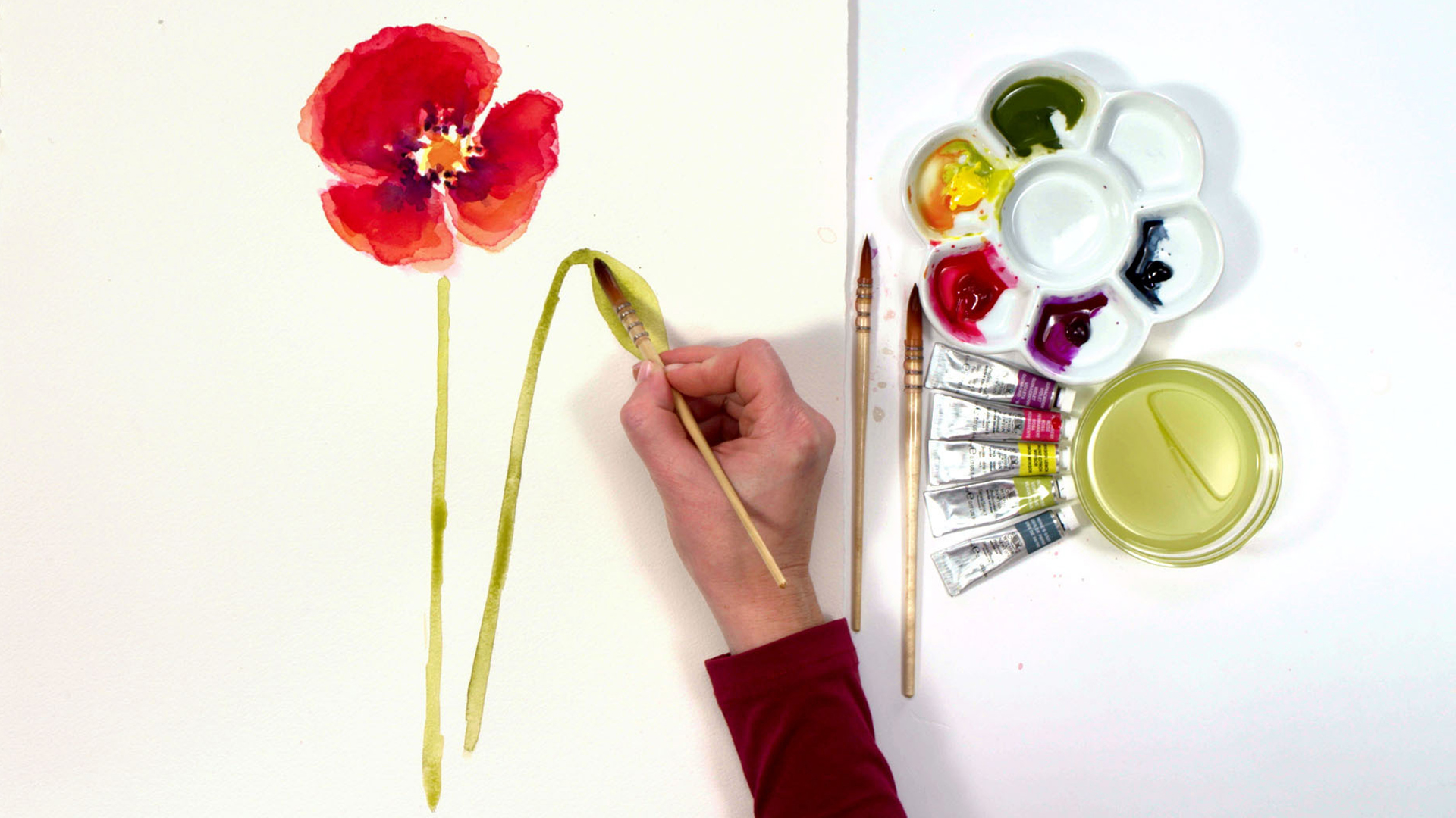 How to paint white flowers in watercolor with Anna Mason 