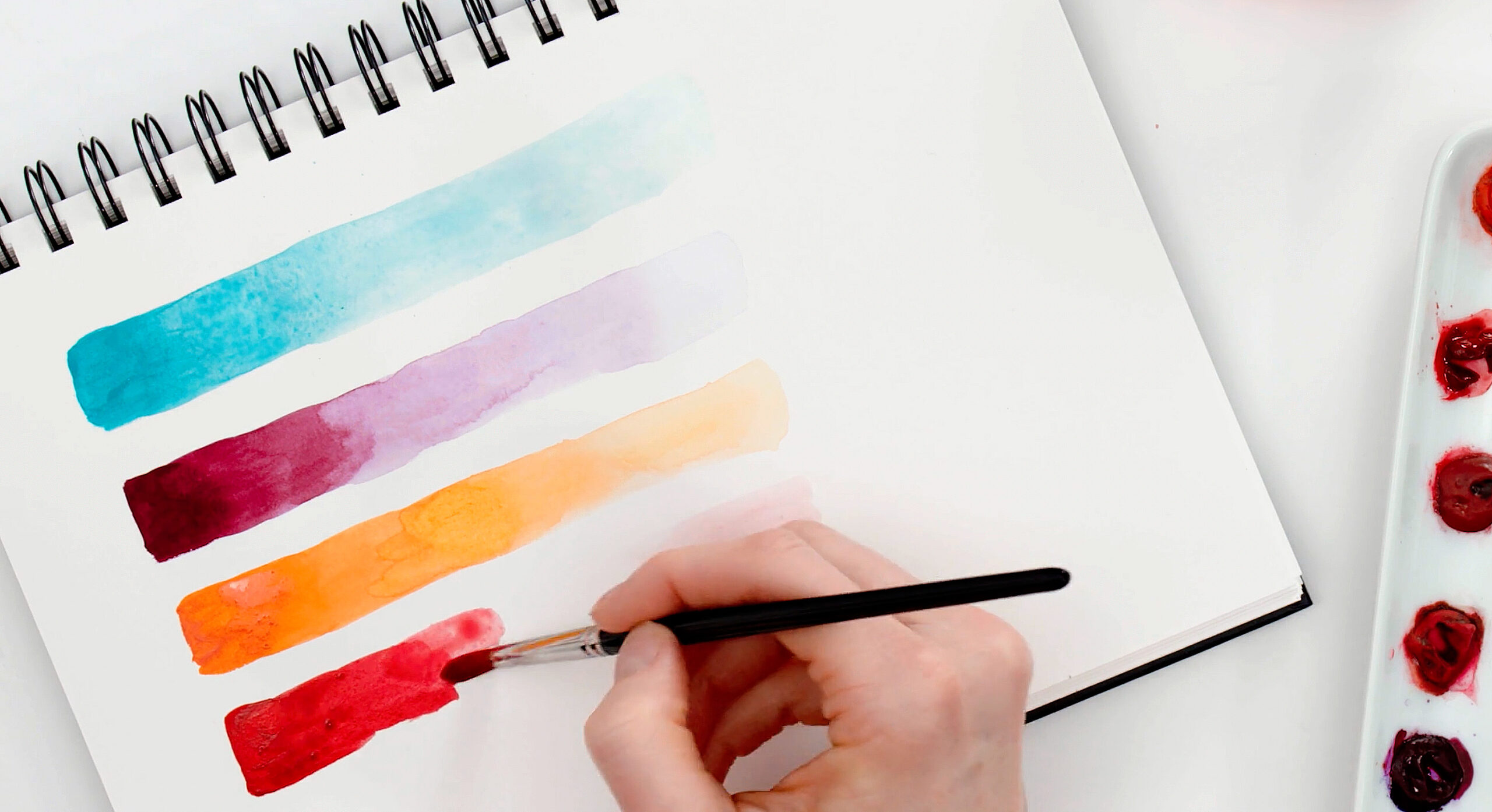 Cheap VS Expensive Watercolor Brushes for Beginners 